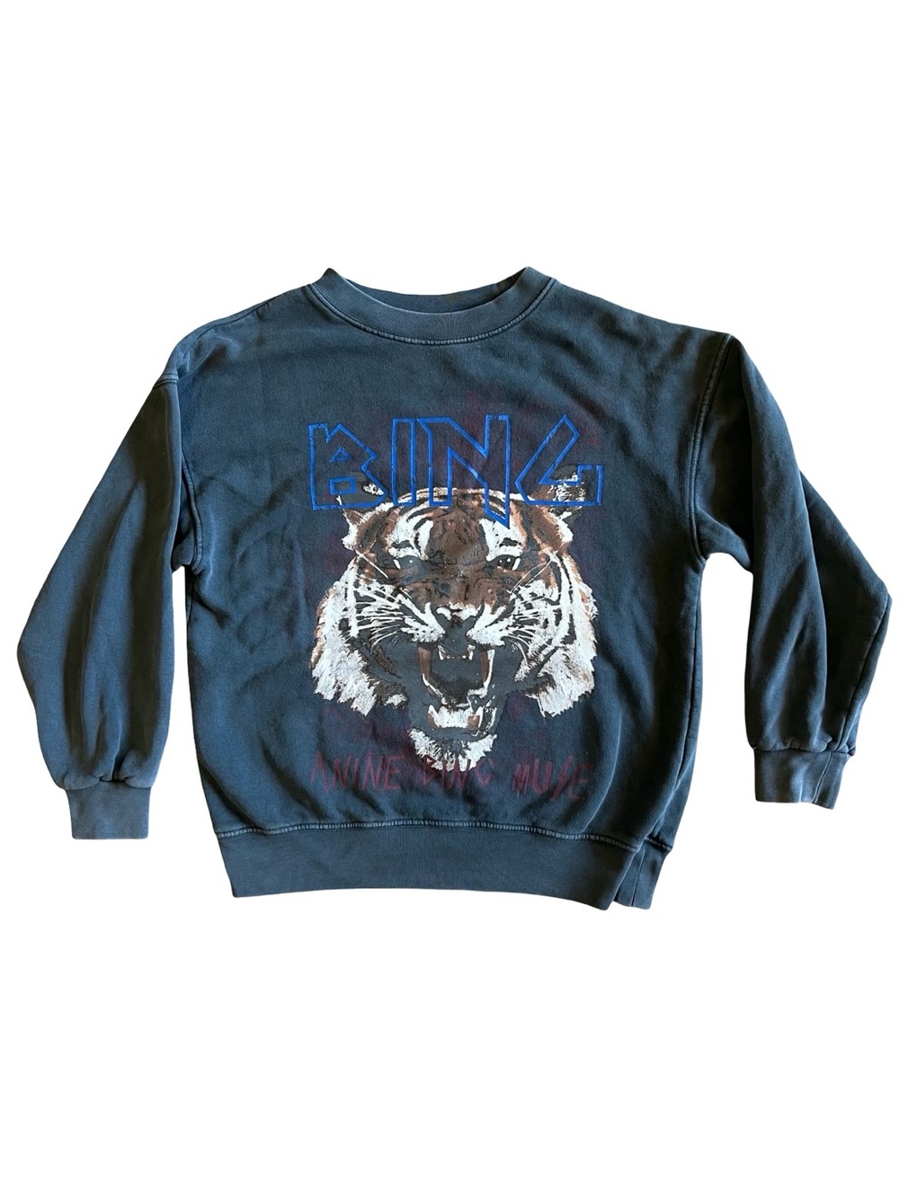 ANINE BING Tiger Graphic Sweatshirt Muse Washed Black Women’s XS Luxury Designer